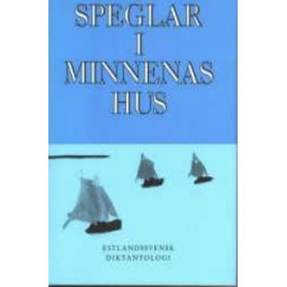 Speglar i minnenas hus